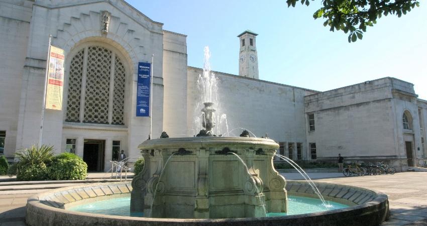 Boingy Bunny Wire Sculptures