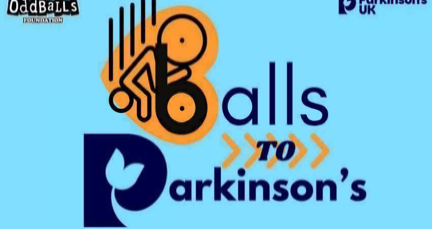Balls to Parkinson's Turvey Village Hall Bash