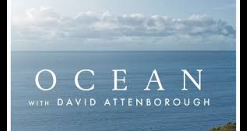 OCEAN WITH DAVID ATTENBOROUGH 