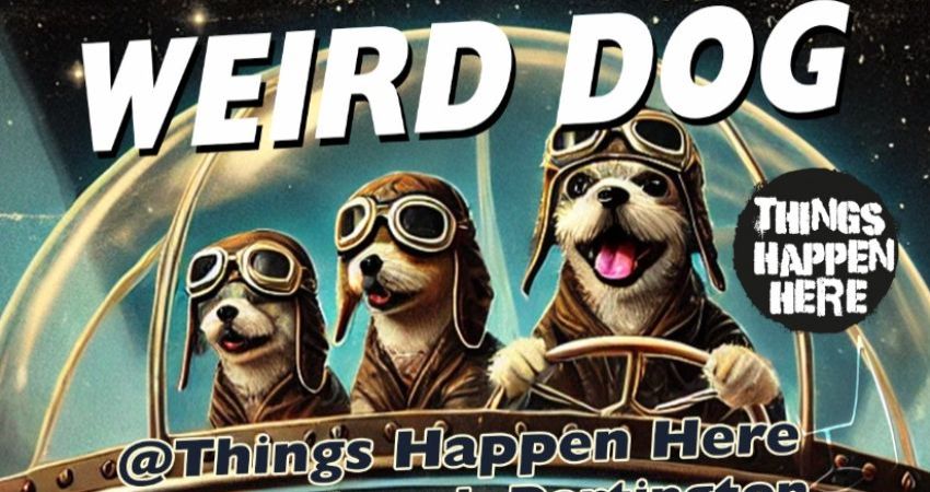 WeirdDog @ Things Happen Here, Dartington, Friday 26th September, 20.00 - 01.00