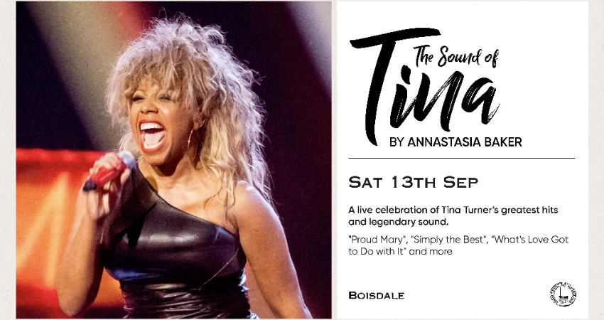 THE SOUND OF TINA | ANNASTASIA BAKER 