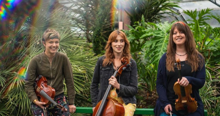 J.A.M. String Collective present ‘She Looks Up at the Trees’,