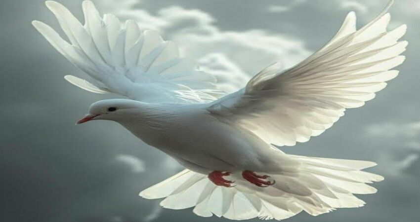 KARL JENKINS: THE PEACE MAKERS.  MATTHEW COLERIDGE: REQUIEM 