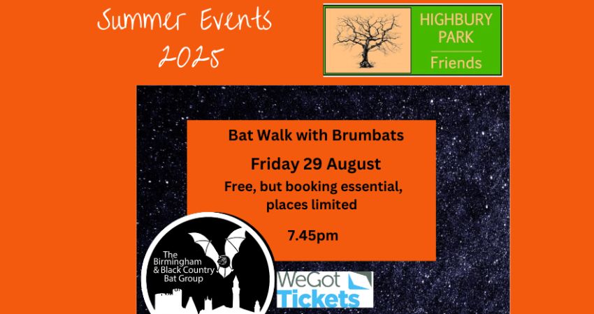 Bat Walk with BrumBats at Highbury Park
