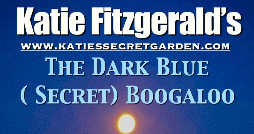 The Dark Blue (Secret) Boogaloo 