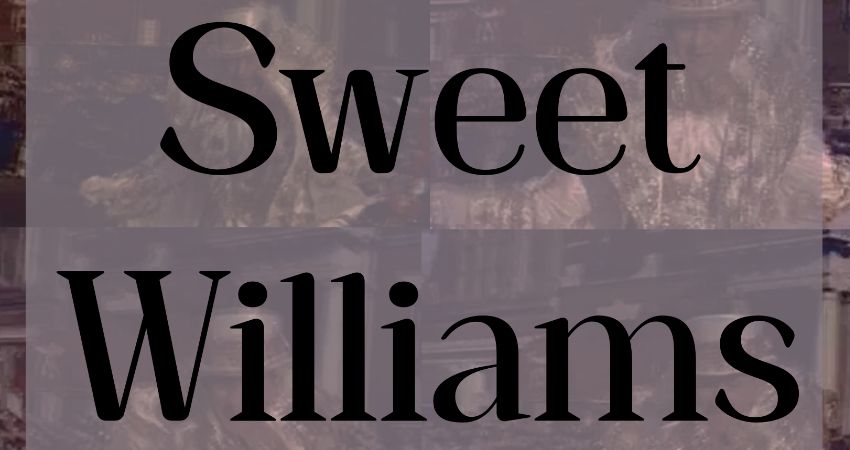 SWEET WILLIAMS [FULL BAND; MATINEE SHOW!] 