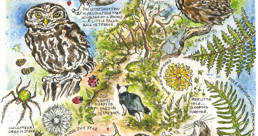Introduction to Creative Nature Journaling with Steve Pardue
