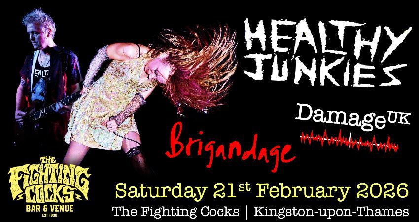 Healthy Junkies with Damage UK and Brigandage at the Fighting Cocks Kingston 