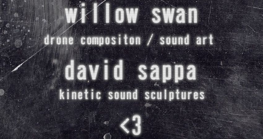 Willow Swan | David Sappa |  