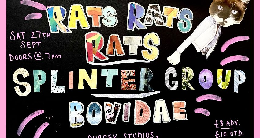 OMP: Rats Rats Rats, Splinter Group & Bovidae at Dubrek Studios 