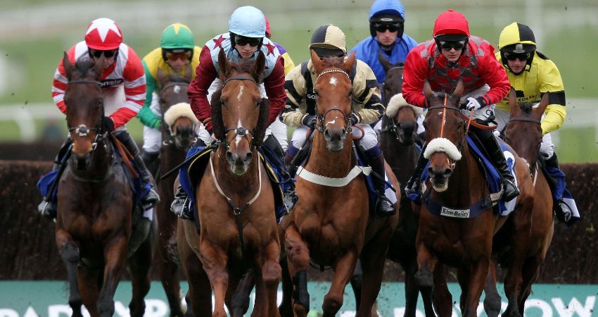 Mayor of Sandhurst - A Night At The Races