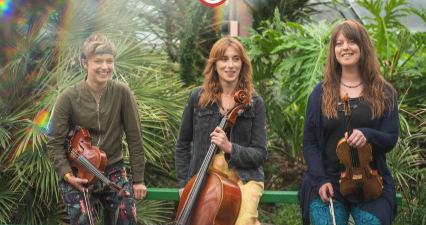 J.A.M String Collective 