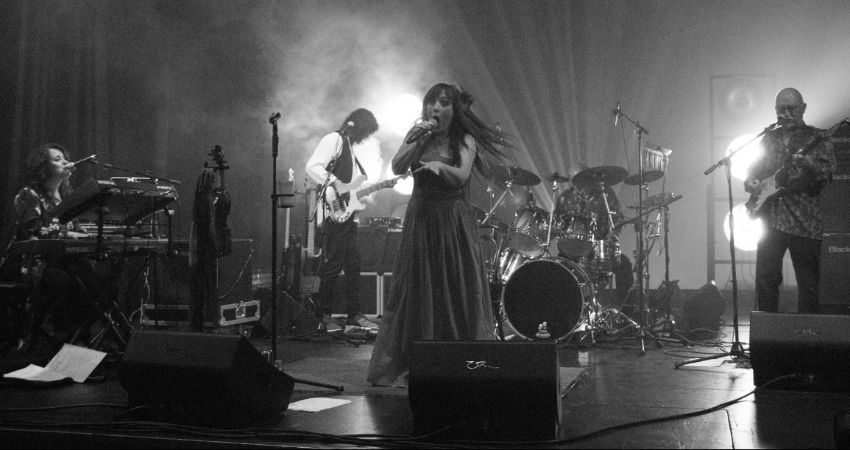 KT Bush Band 