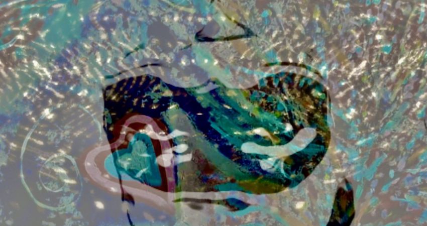 iaatm present Mila Todd / EtaCas / Asteroid Lily / i4M2 & more 