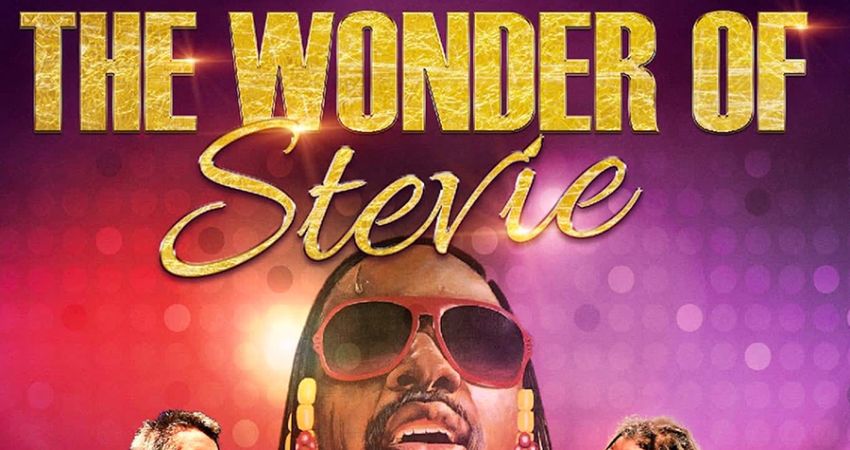 The Wonder of Stevie 