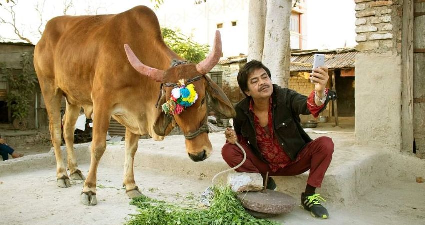 Holy Cow (15) 