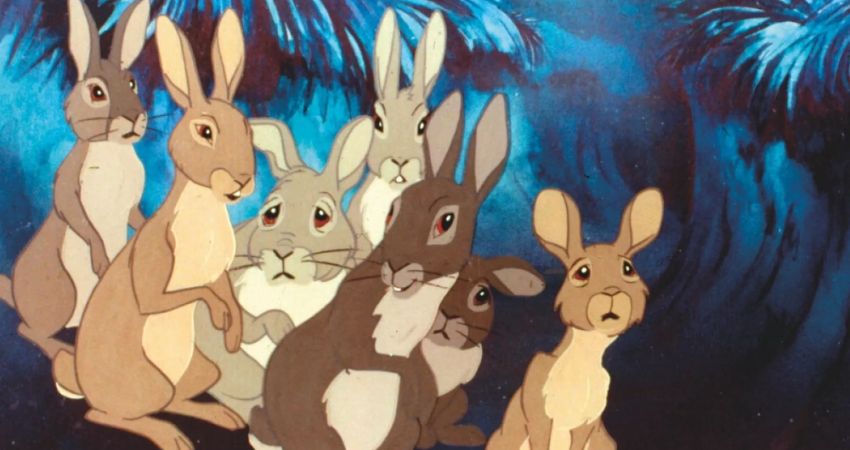 WATERSHIP DOWN 