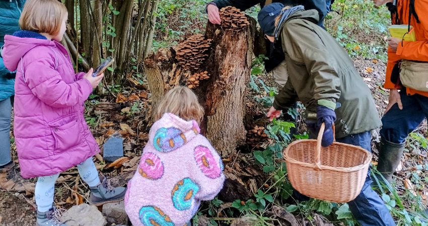 Fungus Foray at Ladybelt Country Park 