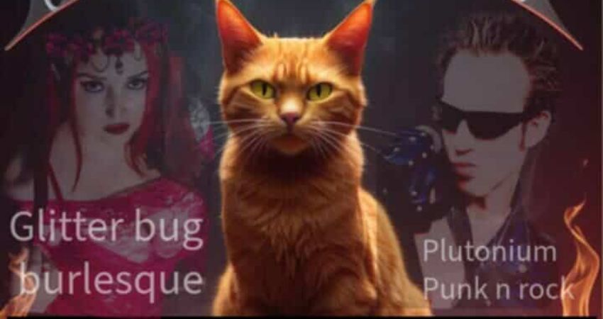 HELL N CAT  Sunday  DAY 