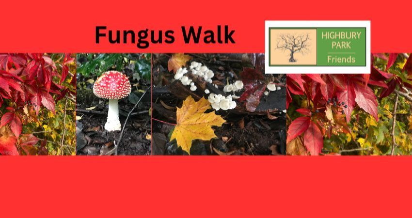 Highbury Park Fungus Walk