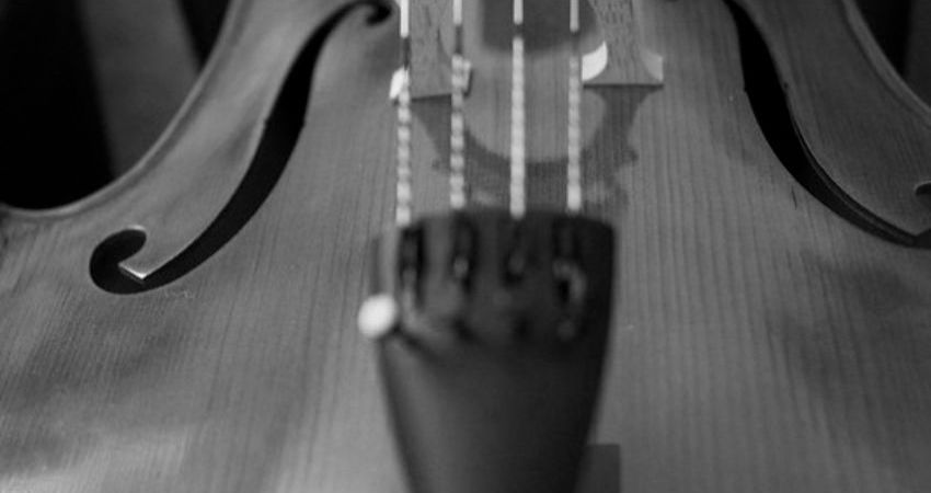 New Tyneside Orchestra Autumn Concert 