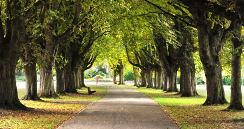 The Social History of our Florence Park Estate