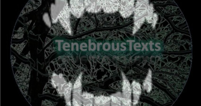 Samhain Stories - Tea with Tenebrous 