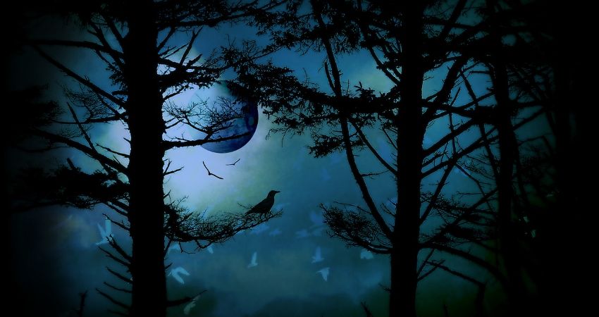 THE NIGHT SHIFT 