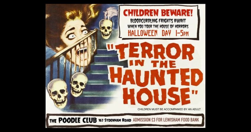 Terror in the HAUNTED HOUSE 