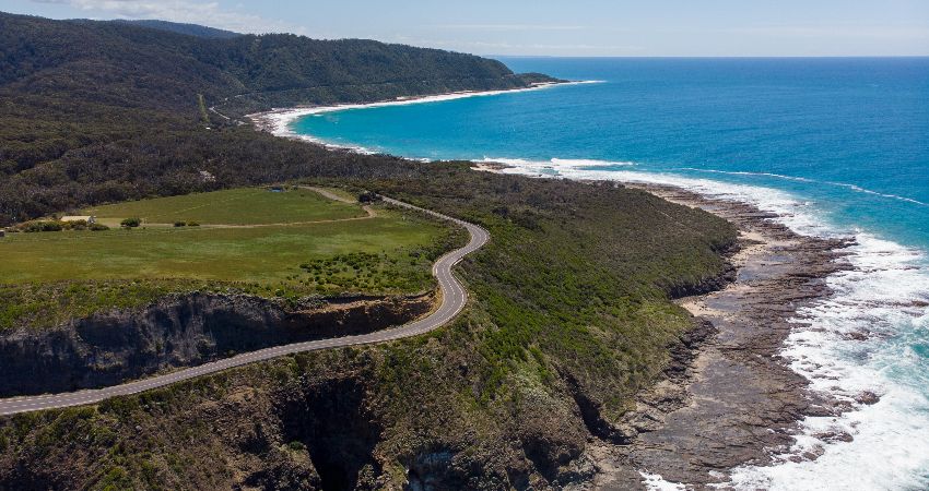 NEW ZEALAND: ORIGINS, LANDSCAPE and FIGHT TO SAVE NATIVE BIRDS. By Ian Gasper 