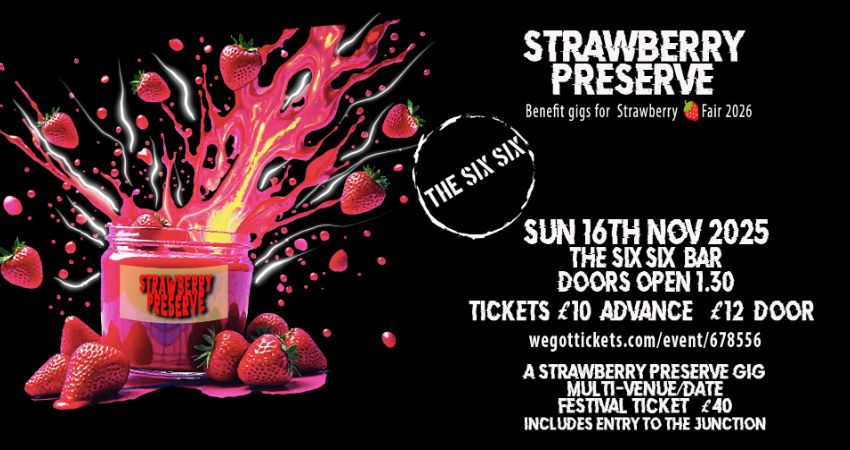 Strawberry Preserve Festival Day 1