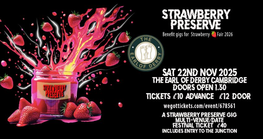 Strawberry Preserve Festival Day 2 