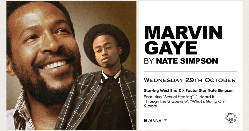 Marvin Gaye by Nate Simpson 