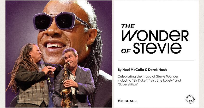 The Wonder of Stevie 