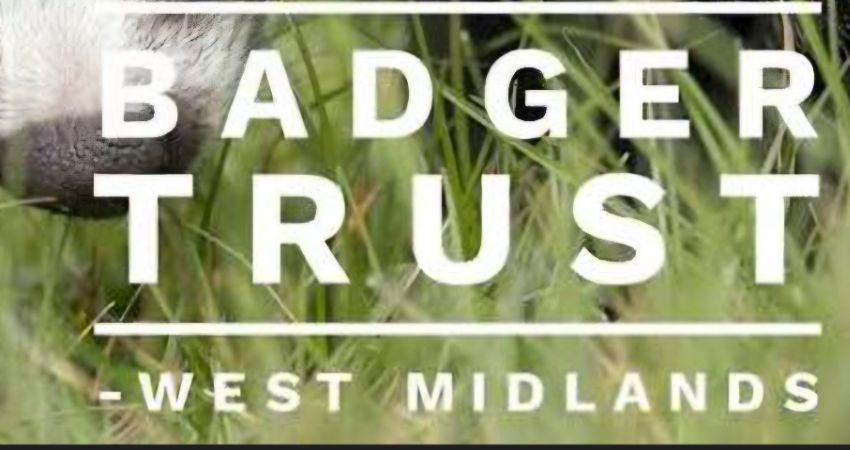 BADGERFEST 2026.