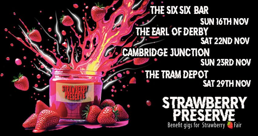 Strawberry Preserve Festival Pass 