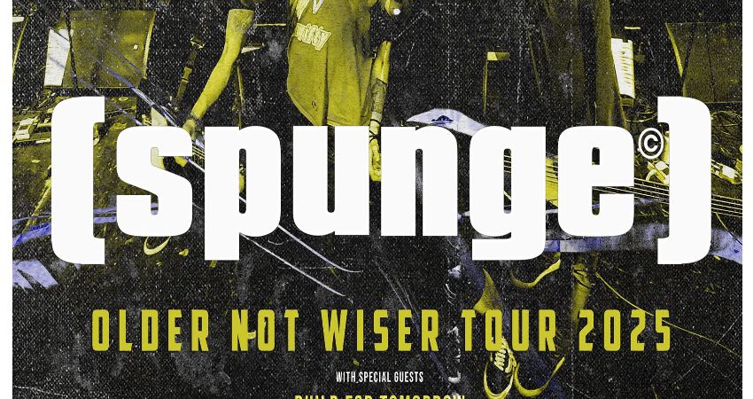 SPUNGE + BUILD FOR TOMORROW 