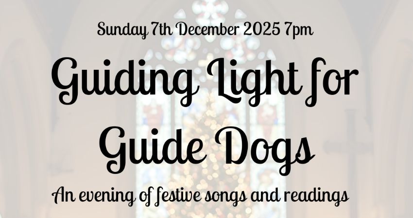 Guiding Light for Guide Dogs 2025 