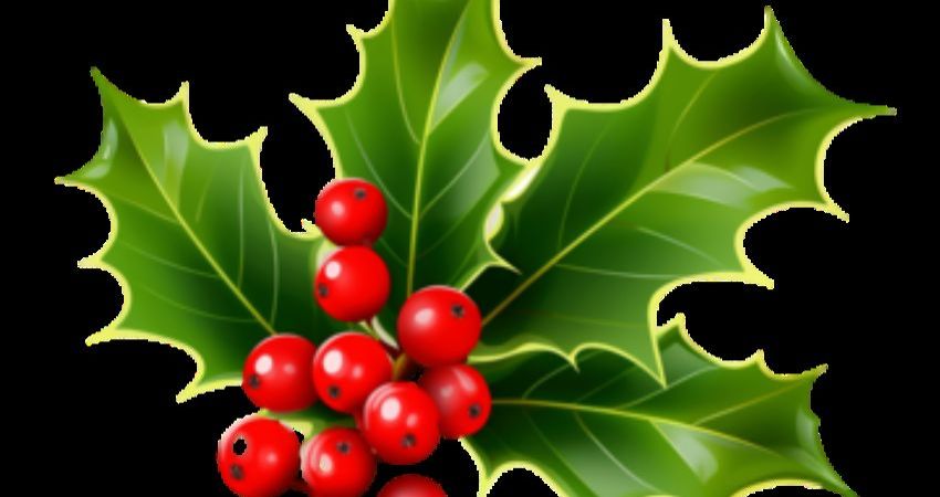 Festive Brass and Voices 