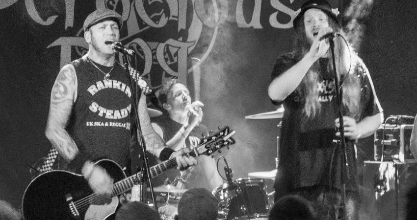 Ferocious Dog 3 Piece Acoustic Christmas Party