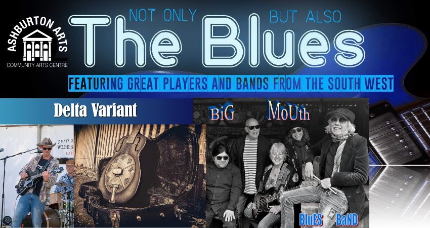 Not Only But Also The Blues: Delta Variant & Big Mouth Blues Band 