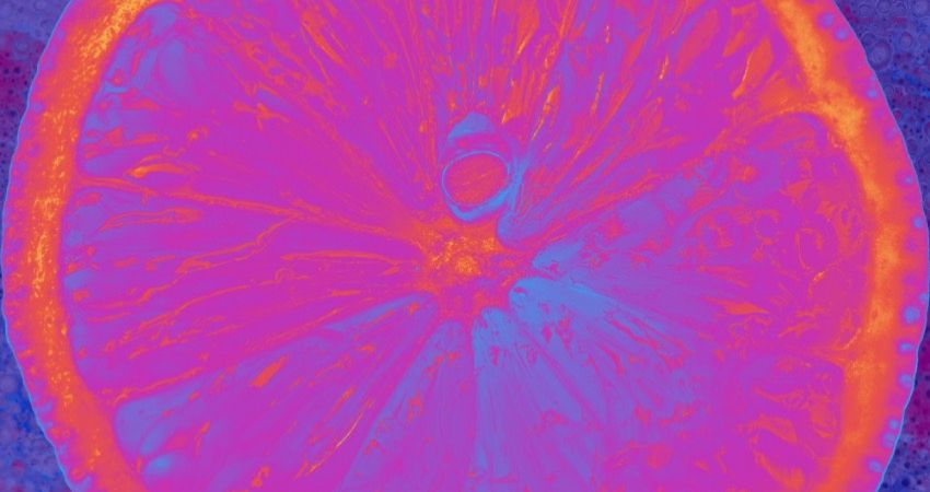 EASYEASYEARLYEVENING WITH EASYEASYLEMONLEMON