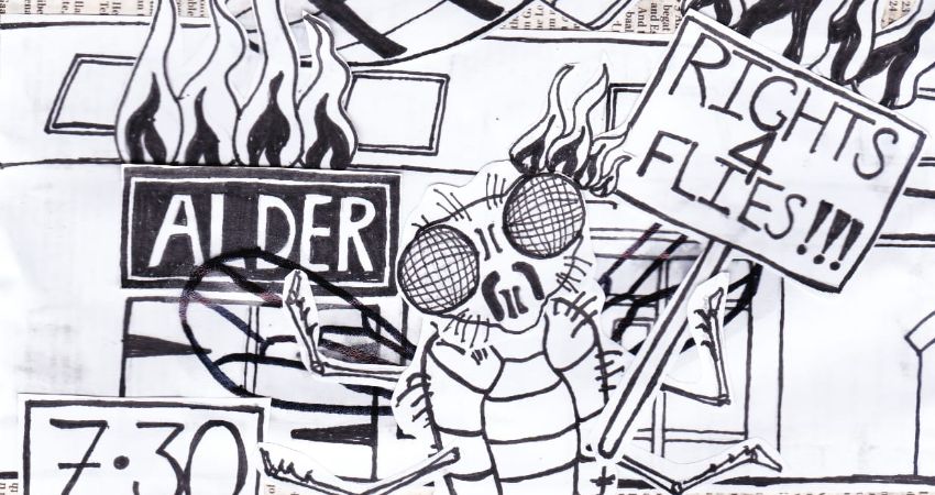 On Your Knees For: The Avion + Rights for Flies @Alder Bar Sheffield