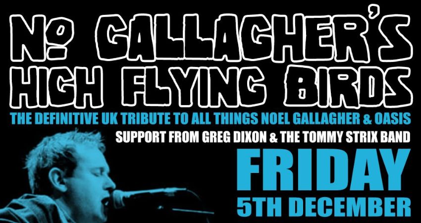 No Gallaghers high flying birds band plus support 