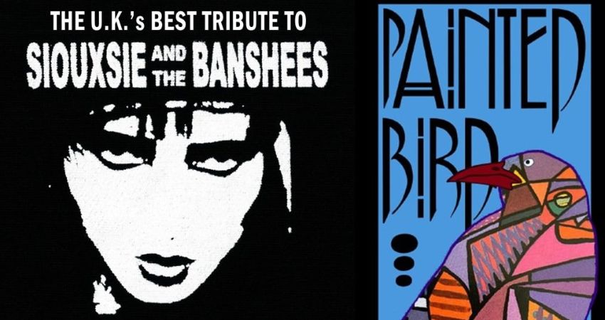 Painted Bird and Unknown Pleasures 