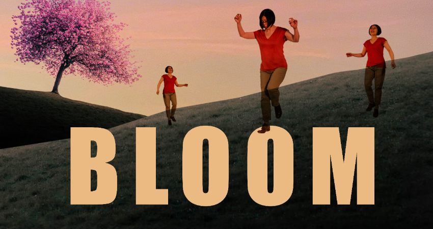 Bloom (dance + ceilidh) 