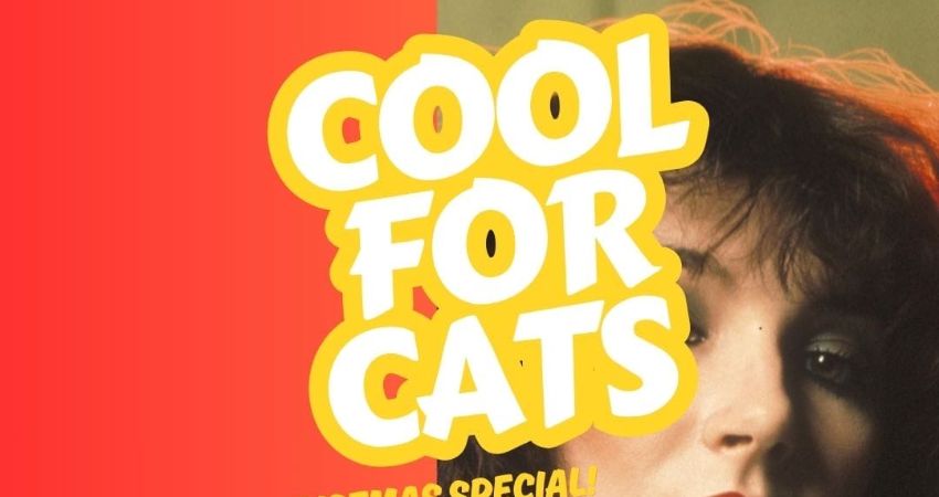 Cool for Cats Disco