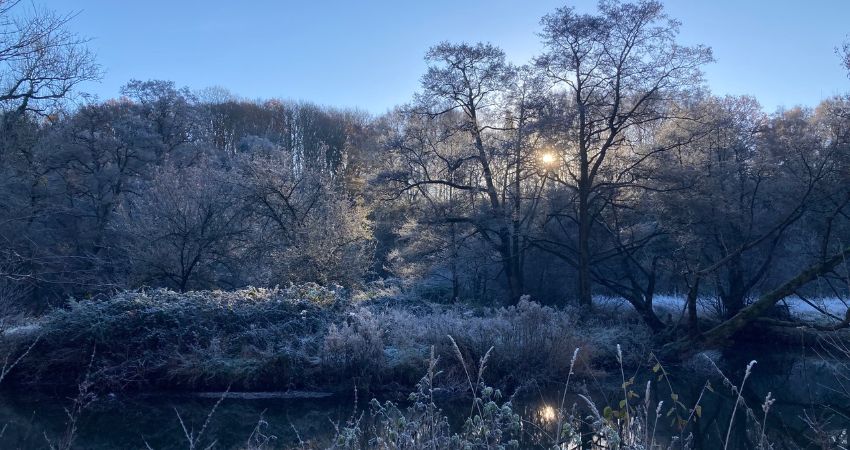 Mowley Valley Restoration Project 