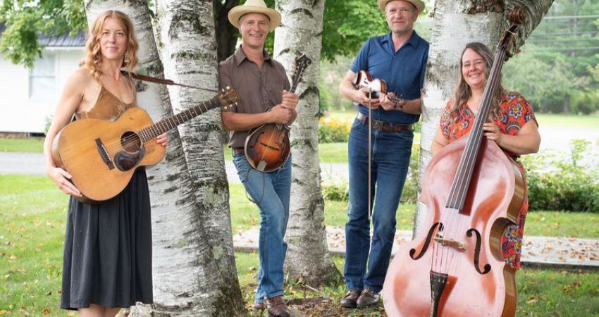 The Foghorn String Band 