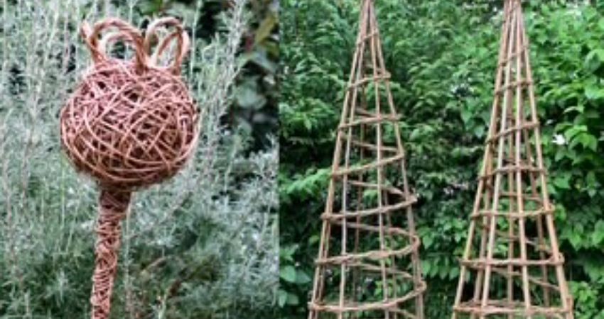 Create a Plant Wigwam and Giant Poppy Seed Head 